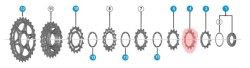 Shimano Dura Ace CS-R9100 R9000 - Ultegra CS-R8000 Kaset İçin 12T Dişli - 2